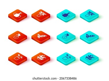 Set Plant in pot, Cactus peyote, Water spray bottle, Tropical leaves, Exotic tropical plant and Vase icon. Vector