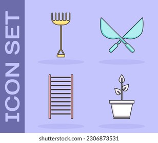 Set Plant in pot, Garden rake, Wooden staircase and Gardening handmade scissors icon. Vector