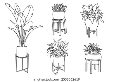 Set of plant in pot hand drawn vector illustrations house plant, home decoration, stand up pot for plant