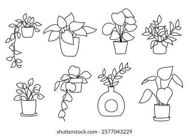 Set of plant in pot hand drawn vector illustrations house plant, home decoration