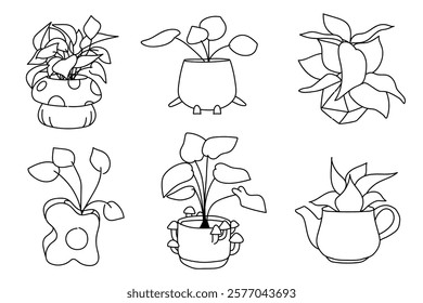 Set of plant in pot hand drawn vector illustrations house plant, home decoration