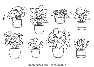 Set of plant in pot hand drawn vector illustrations house plant, home decoration