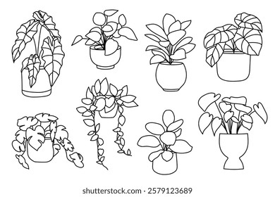 Set of plant in pot hand drawn vector illustrations house plant, home decoration