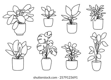 Set of plant in pot hand drawn vector illustrations house plant, home decoration