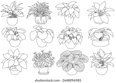 Set of plant in pot hand drawn vector illustrations house plant, home decoration