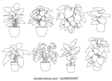Set of plant in pot hand drawn vector illustrations house plant, home decoration
