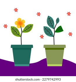 Set Plant pot icon, vector flower plant, gardening illustration. Potted flower for your design and elements. Beautiful flower icon template.
flat plant illustration.