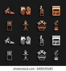 Set Plant in pot on table, Pack full of seeds of plant, Exotic tropical, Flower vase, Cactus peyote, Broken and Rubber gloves icon. Vector