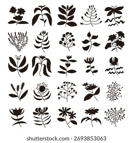Set of plant silhouette vector, hand drawn flower and leaves	
