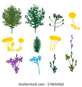 Set of Plant, Tree, Foliage Elements Silhouette Vector Illustration