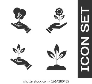 Set Plant, Tree in hand of environmental protection, Plant in hand of environmental protection and Hand holding flower icon. Vector