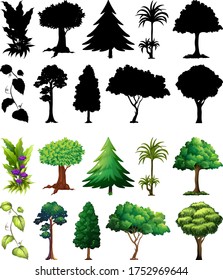 Set of plant and tree with its silhouette illustration