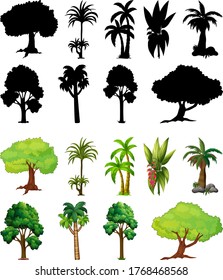 Set of plant and tree with its silhouette illustration