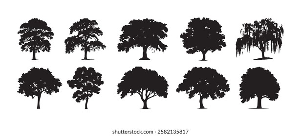 Set of plant and tree silhouette on white background
