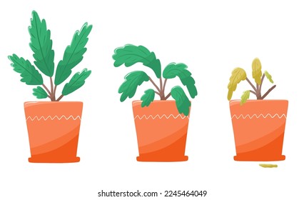 Establecer con un proceso de extinción de plantas al estilo de las caricaturas