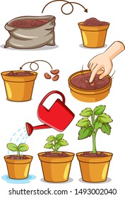 Set of planting process on white background illustration