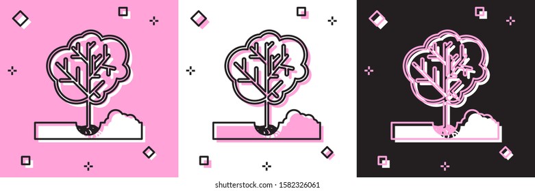 Set Planting a tree in the ground icon isolated on pink and white, black background. Gardening, agriculture, caring for environment.  Vector Illustration