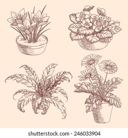 set of plants 