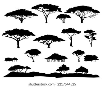 Conjunto de plantas. El paisaje de la sabana africana. Foto de silueta. Árbol de acacia africano. Aislado sobre fondo blanco. Vector