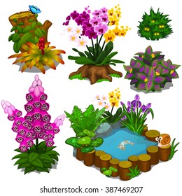 A set of plants and an artificial pond with Japanese koi for Landscaping. Vector illustration.
