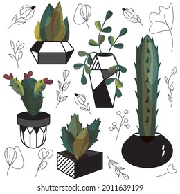 A set of plants. Botany. Homemade flowers. Cacti and succulents. Geometric shapes. An abstraction. Vector illustration of linear shapes. Vase. The Scandinavian style of doodles.