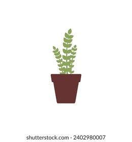 set of plants with brown pots plant