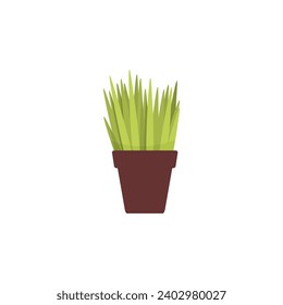 set of plants with brown pots plant