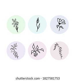 Set of plants in a circle for highlights. A set with pictures of plants for stories
