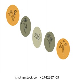 conjunto de plantas en círculos de colores