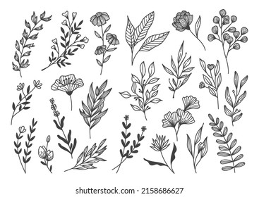 Set of Plants Doodle Design Element, Leaves and Flower Line Art Vector Illustration