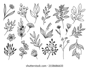 Set of Plants Doodle Design Element, Leaves and Flower Line Art Vector Illustration