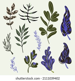 A set of plants in the doodle style. Vector illustration.