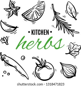 set of plants for eating lemon, coriander, rosemary, onion, garlic, chili