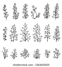 Set of plants, floral elements, flowers and branches. Vector cartoon illustrations. Isolated objects on a white background. Hand-drawn style.