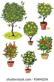 set of plants - floral sketch.