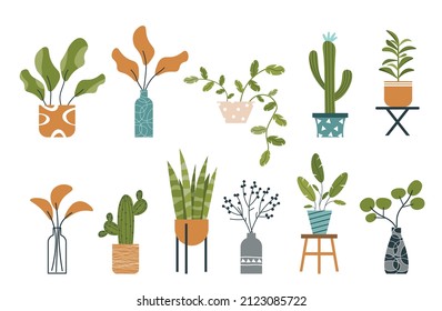 Set plants in flower pots. Home plants in flat style. Houseplants on an isolated background. Scandinavian cozy home decor. Plants in vase and flower pot. Biophilic design elements. Vector illustration