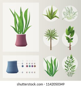 Set of plants and flowers. Cartoon vector illustration. Green home. Elements for interior. Scene creator