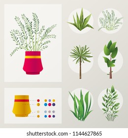 Set of plants and flowers. Cartoon vector illustration. Green home. Elements for interior. Scene creator