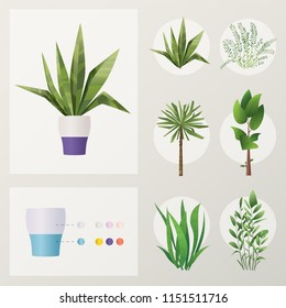 Set of plants and flowers. Cartoon vector illustration. Green home. Elements for interior. Scene creator