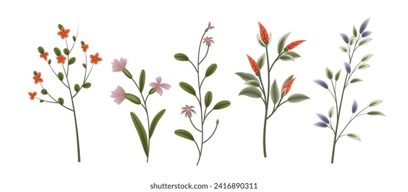 Set of plants flowers flowering branches. Hand drawn drawing. Isolate on a white background. Vector.