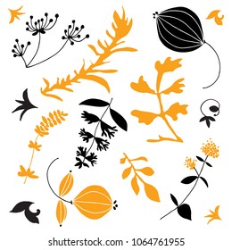 Set of plants and flowers hand drawn in vector. Cards, posters, invitation.