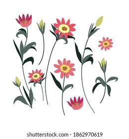 Pflanzensatz mit Blumen, Fichtenzweige, Blätter und Beeren. Weihnachtsdekorationen. Holly, Fichte, rote Beeren. Handgezeichnete Design-Elemente. Blumendesign-Elemente für Weihnachten und Neujahr.
