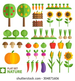 Set of plants, fruits and vegetables in a flat style. Farm set of vegetables. Tomatoes, squash, peppers, eggplant, corn, apples, pears and other crops.