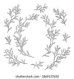 set of plants graphics, vector. leaves, flowers, branches black and white graphics, drawn by hand. line graphics.natural elements.frame