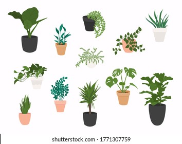 Set of plants growing in pots. Flowerpot isolated objects, houseplant flowerpot collection.