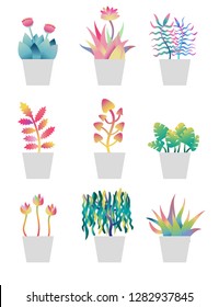 Set of plants growing in pots. On white background. Cartoon flat vector illustration