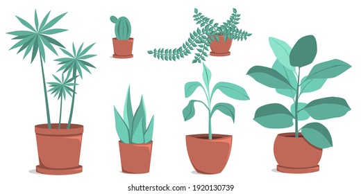 Set of plants growing in a pots. Room flowers. Vector illustration in flat style, isolated on white background