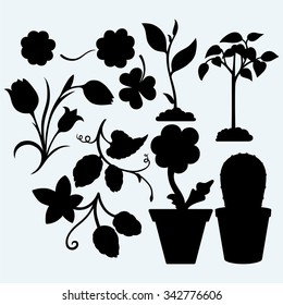 Set plants. Handful of the ground and plant, clovers, tulips, hops, and flowers in pots. Isolated on blue background. Vector silhouettes
