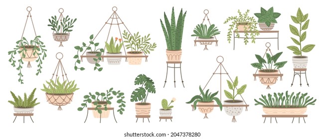 Set of plants in hanging pots. Houseplant hang on rope, decorative indoor plants, macrame flower pots, home potted plants vector illustration icons set. Flower in pots on stands. Home jungle