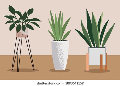 Conjunto de plantas con recipientes decorativos interiores para una colección de vectores de jardín urbano